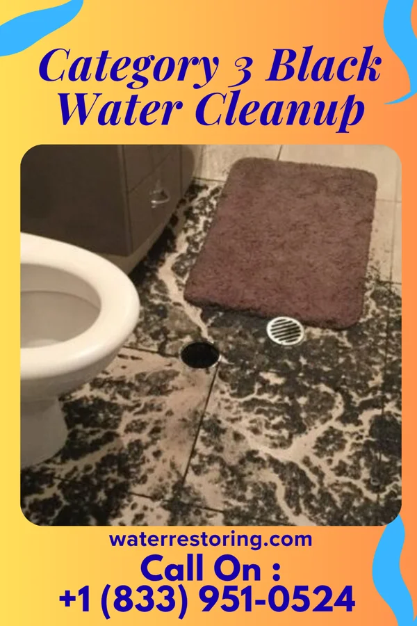 Category 3 Black Water Cleanup in Mountain Home, ID