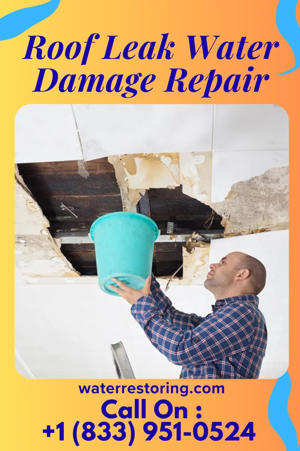 Roof Leak Water Damage Repair in Mountain Home, ID